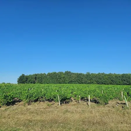 Au Coeur Des Vignes Medoc * Saint-Sauveur (Gironde)
