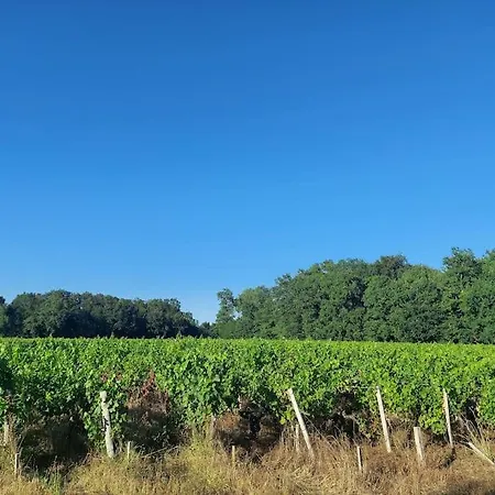 Апартаменты Au Coeur Des Vignes Medoc Saint-Sauveur (Gironde)
